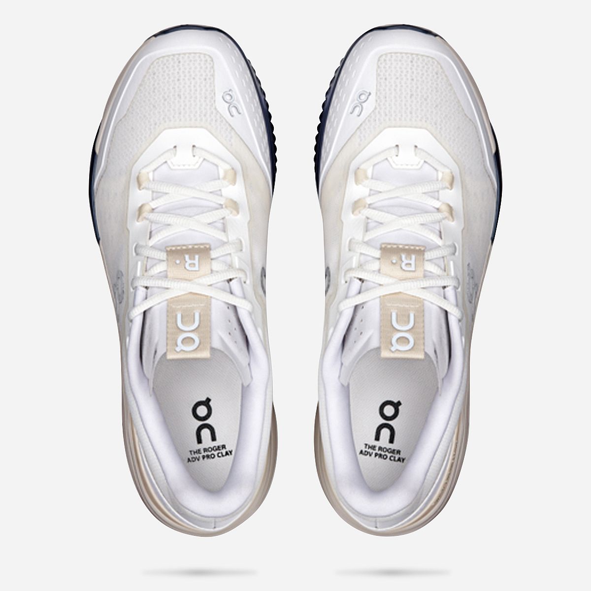 AN320173 The Roger Advanced Pro Clay Tennisschoenen Heren