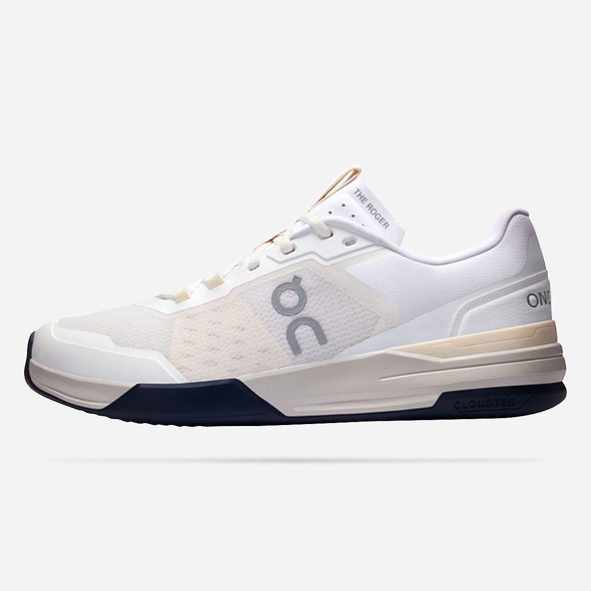 AN320173 The Roger Advanced Pro Clay Tennisschoenen Heren