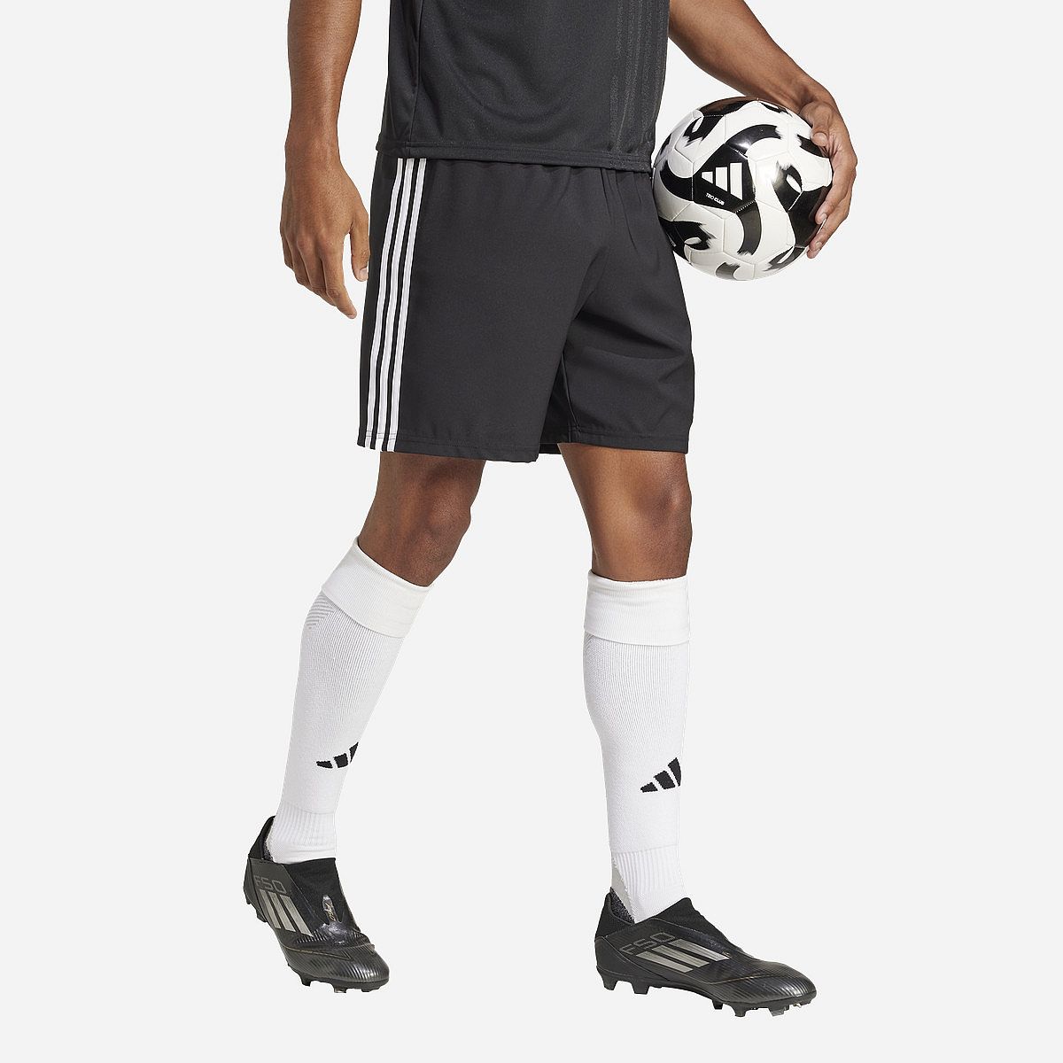 AN321195 Tastigo 25 Shorts Heren