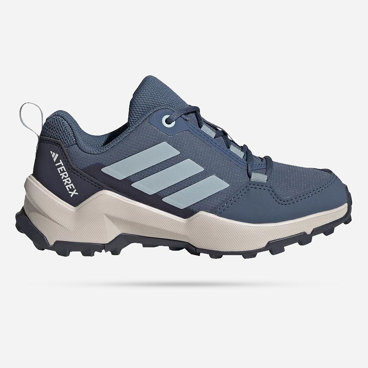 AN320981 Terrex Ax4r Hiking Shoes