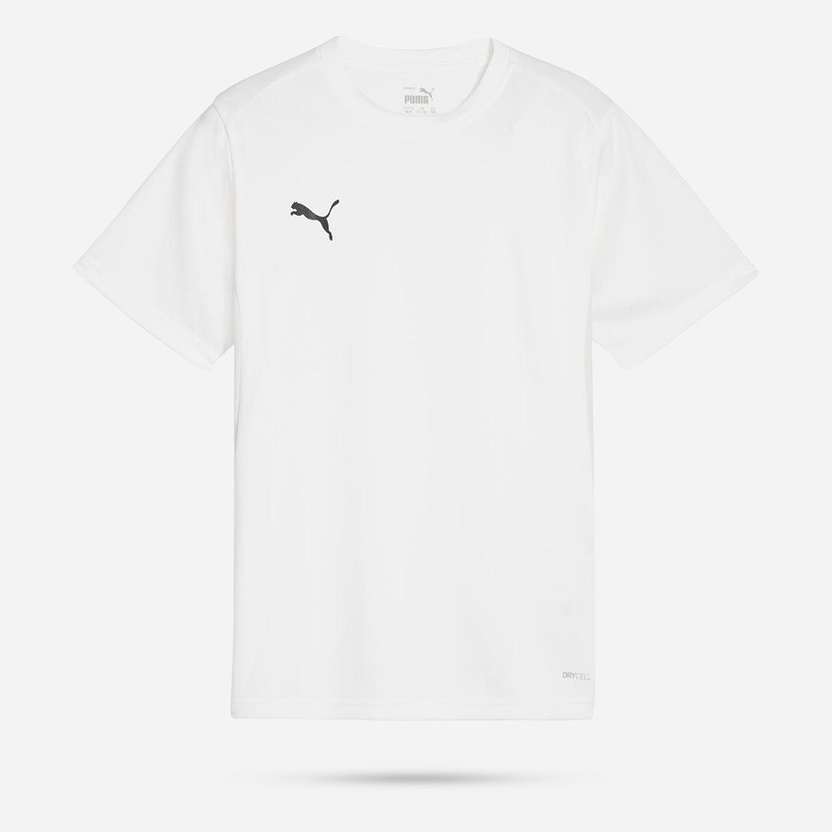 AN308417 Teamgoal Shirt Junior