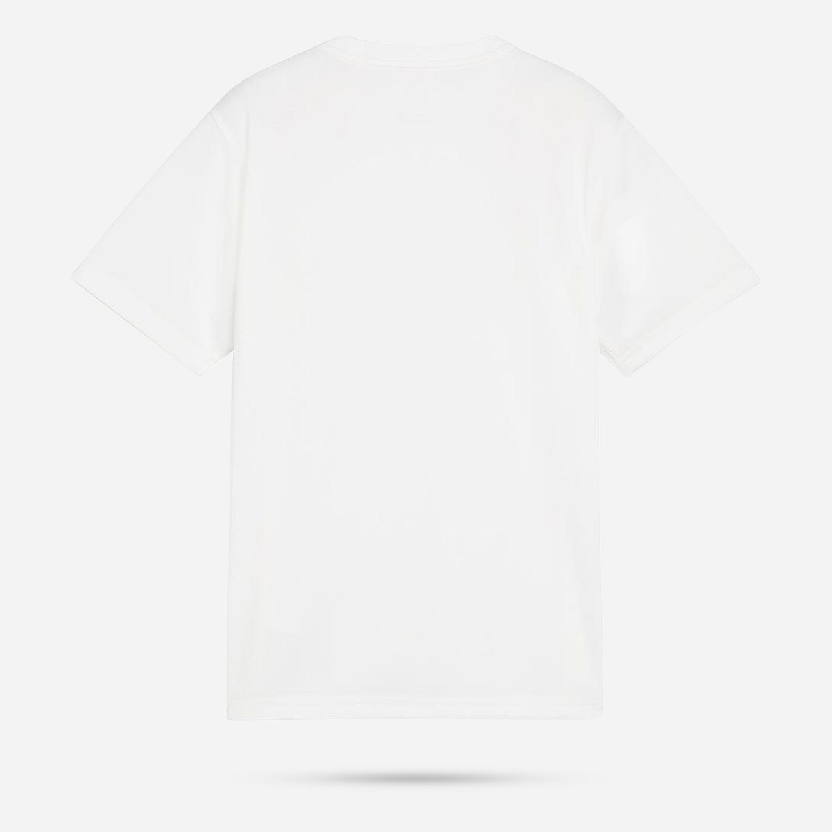 AN308417 Teamgoal Shirt Junior