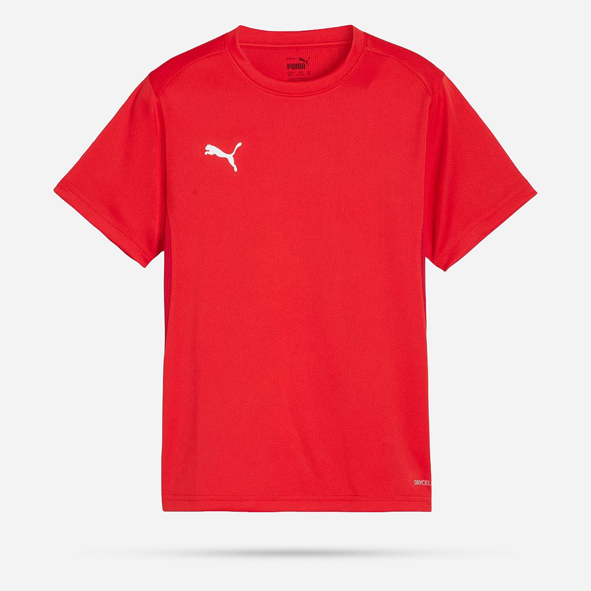 AN308424 Teamgoal Shirt Junior