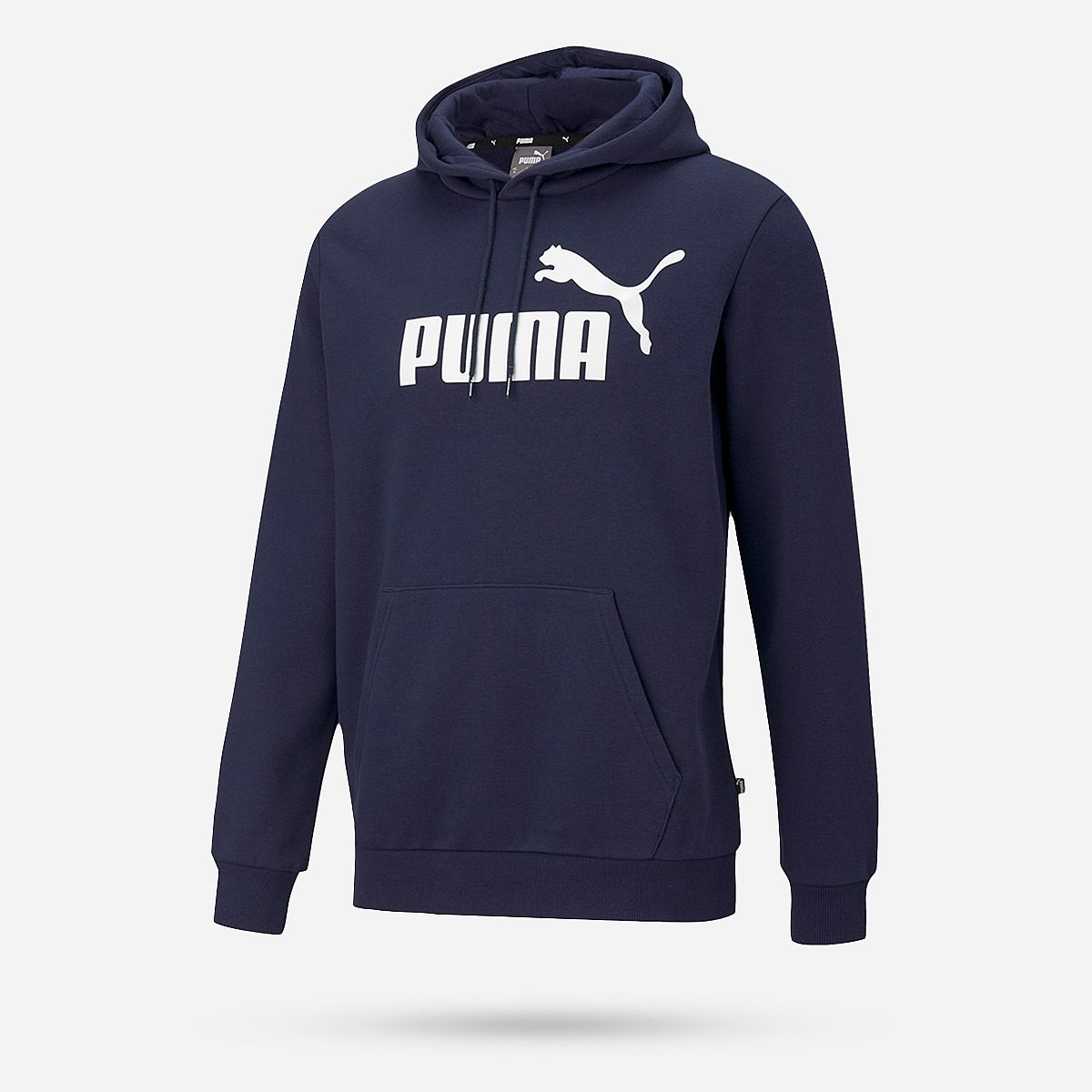 AN281879 Essentials big logo hoodie Heren