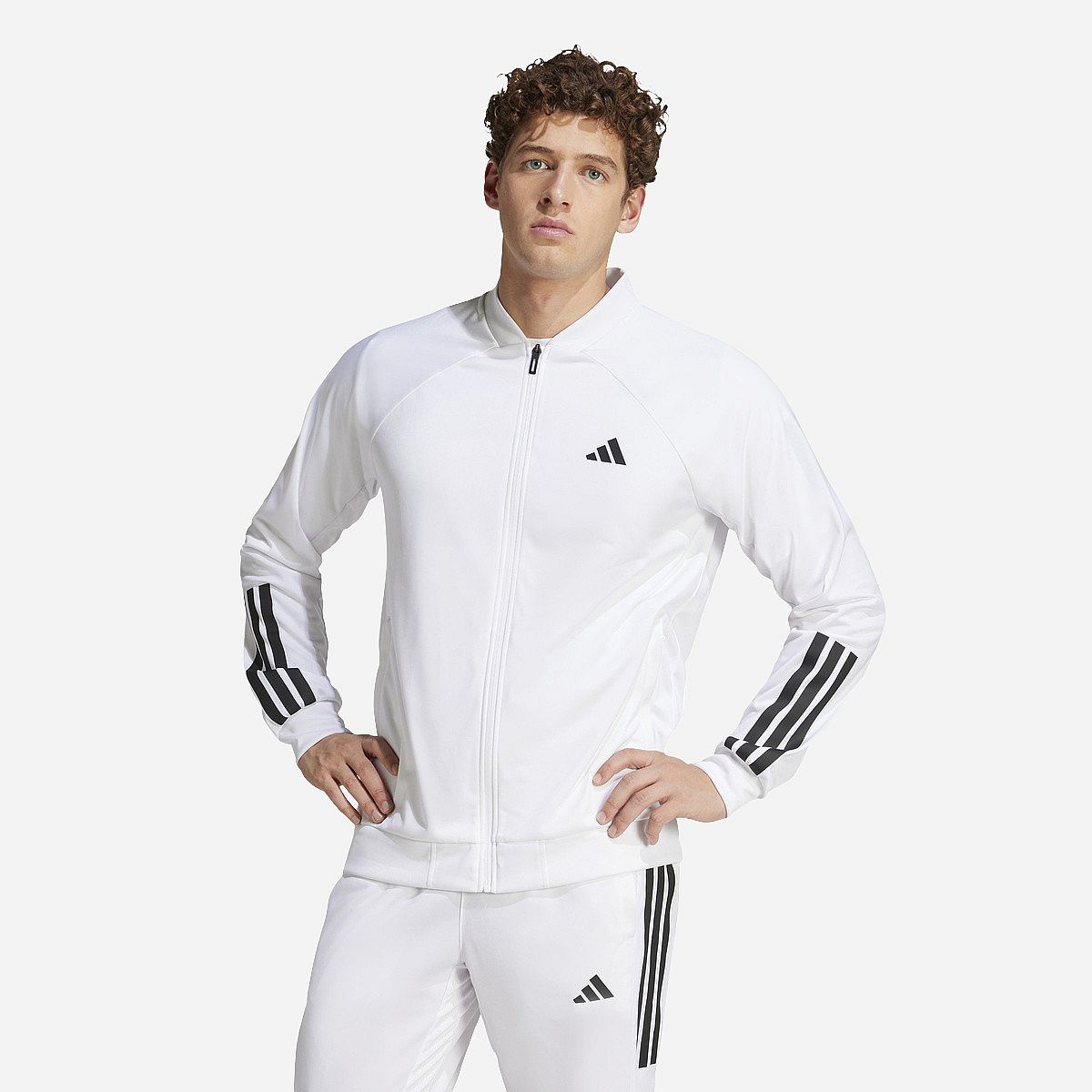 AN323039 3-Stripe Knitted Jas Heren