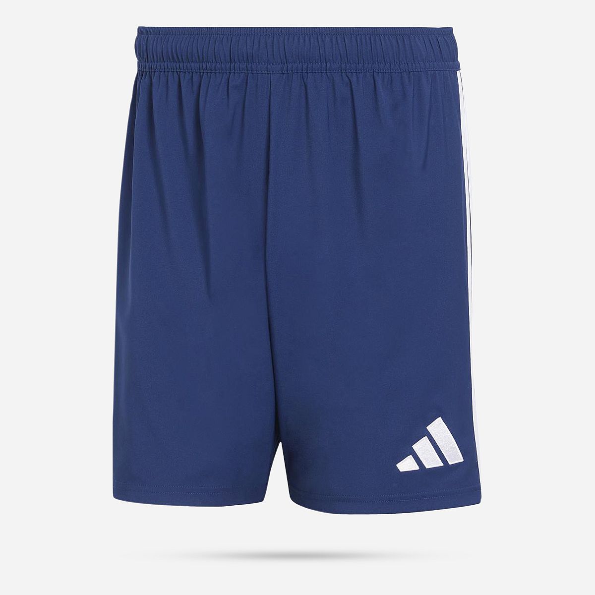 AN321198 Tastigo 25 Shorts