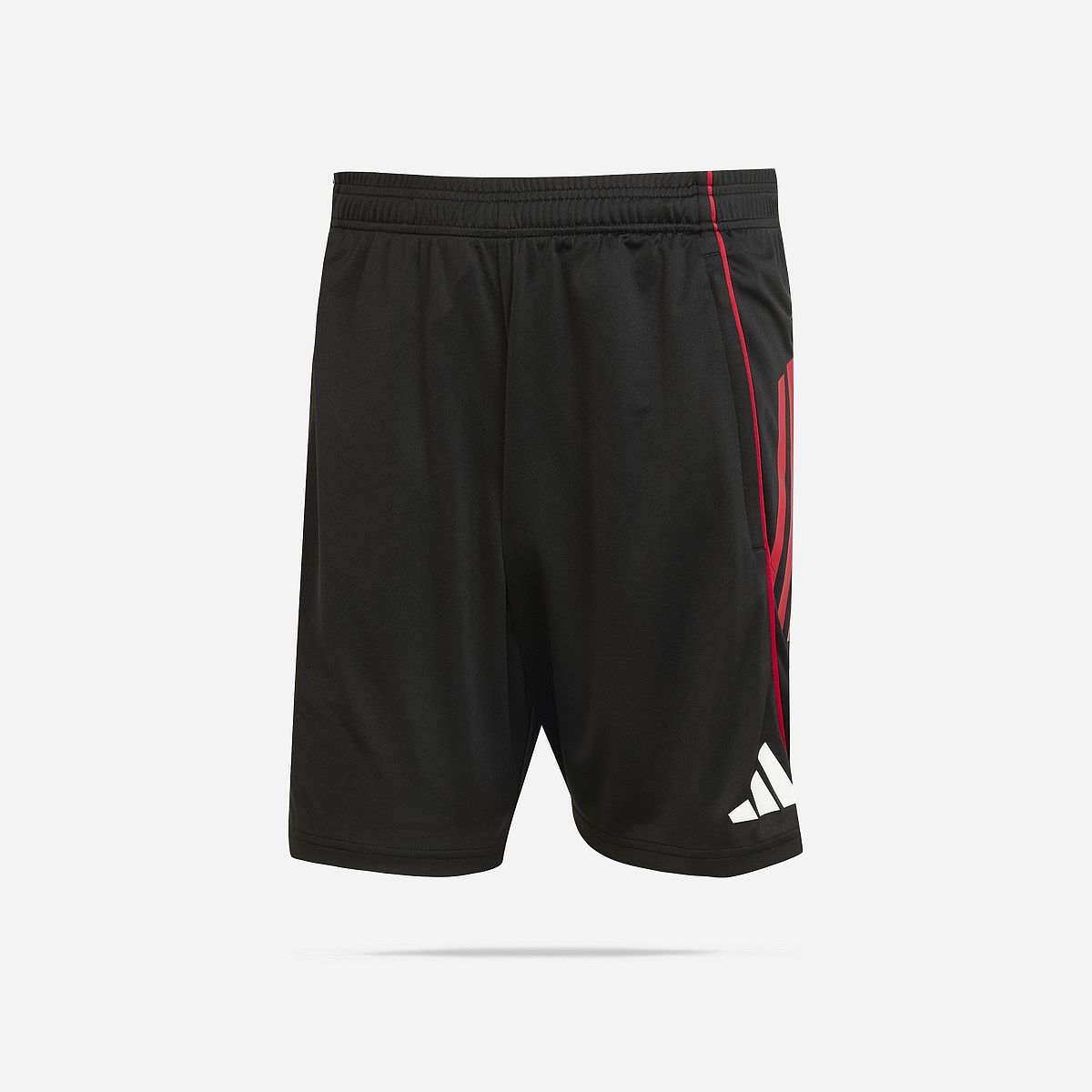 AN323999 Ajax Amsterdam 2025/2026 Training Short Senior