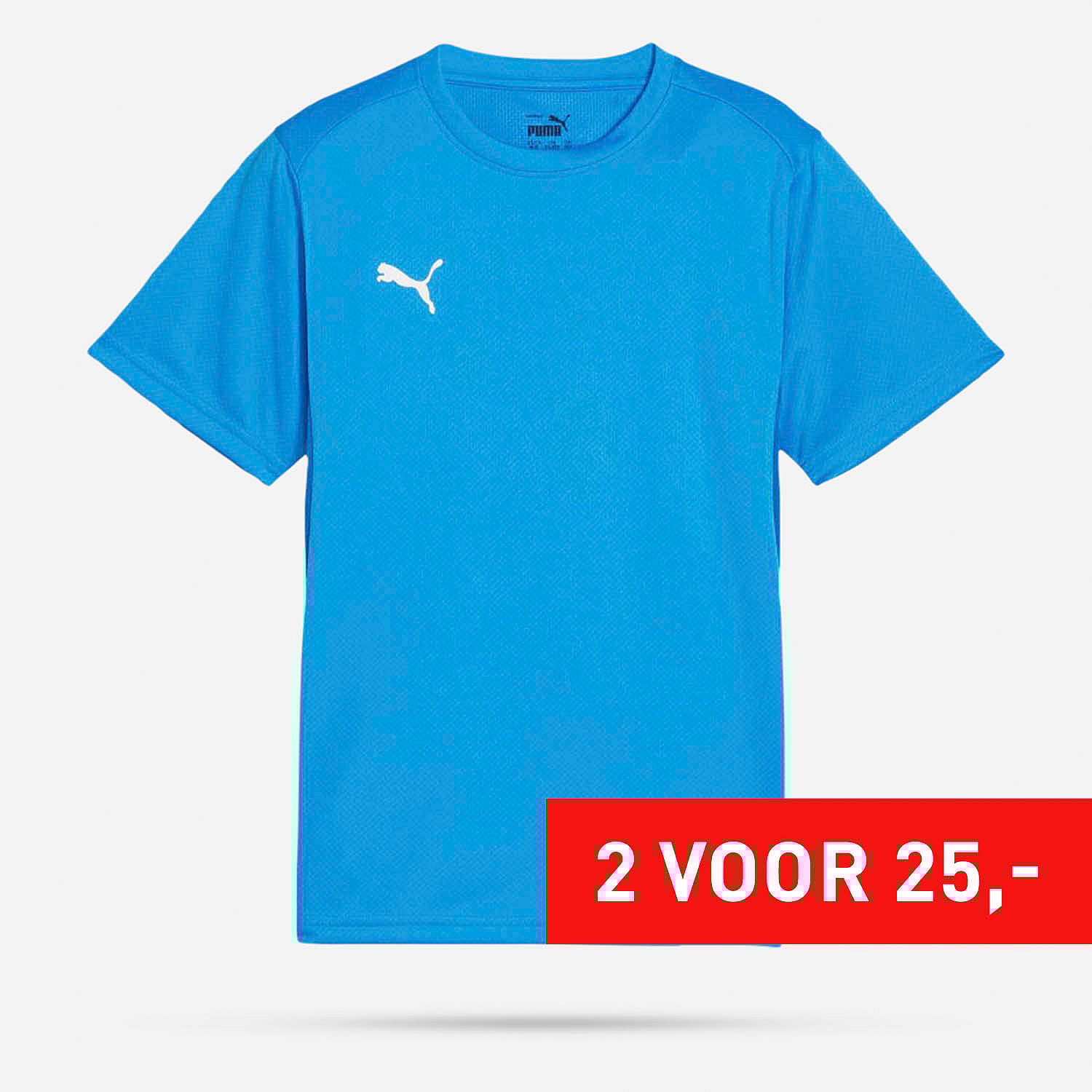 AN308411 Teamgoal Shirt Junior