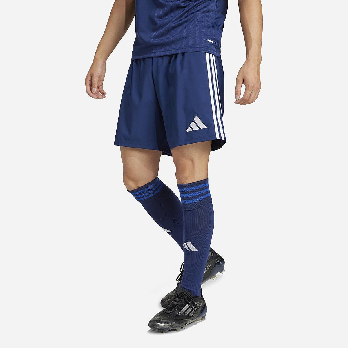 AN321198 Tastigo 25 Shorts Heren