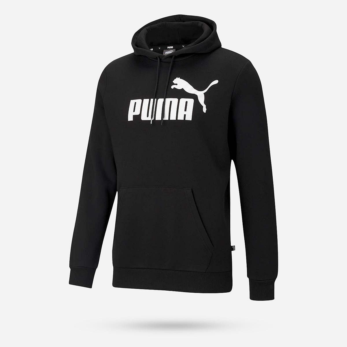 AN273619 Essentials big logo hoodie Heren