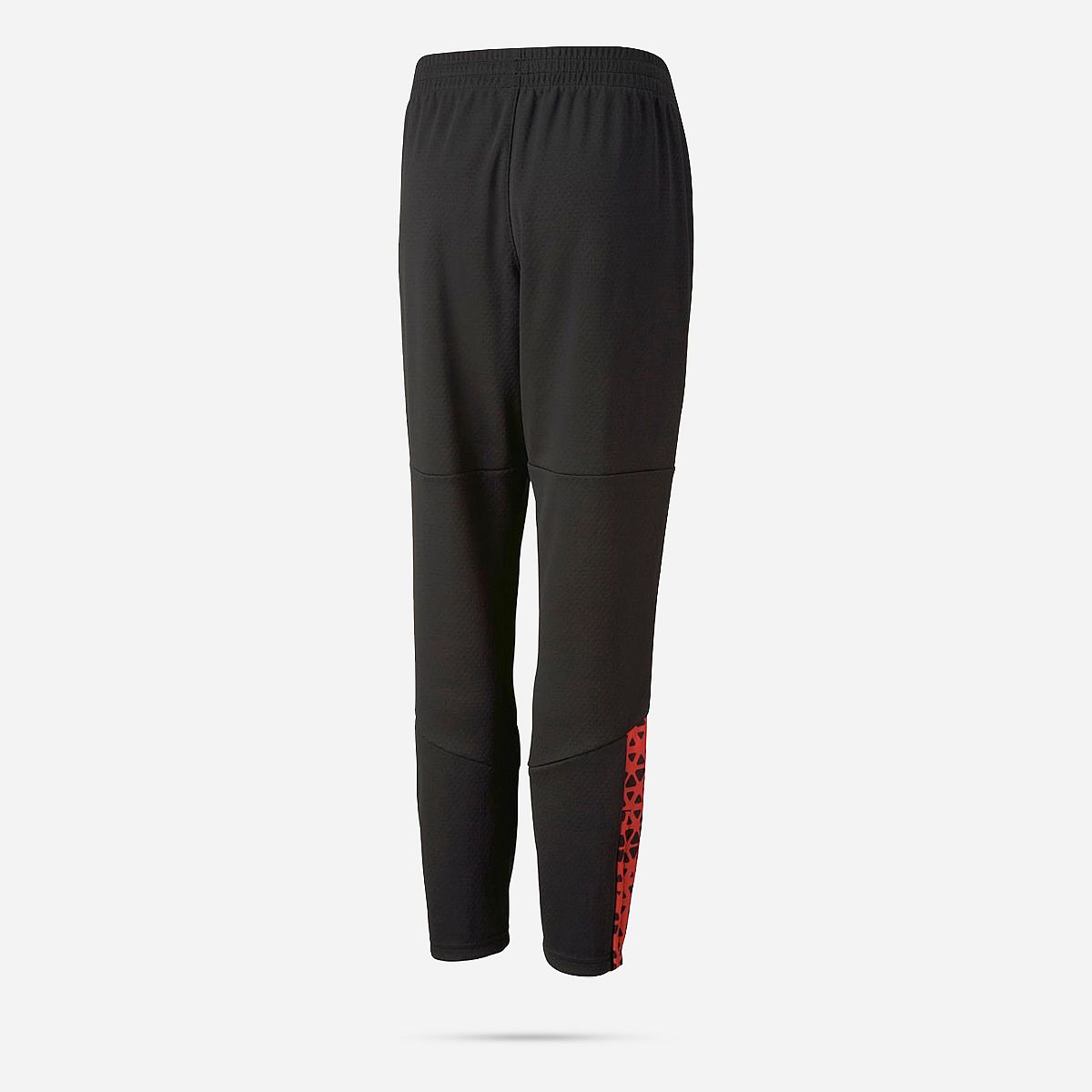 AN296452 Individualcup Training Pants