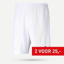 PUMA Teamrise Short Heren