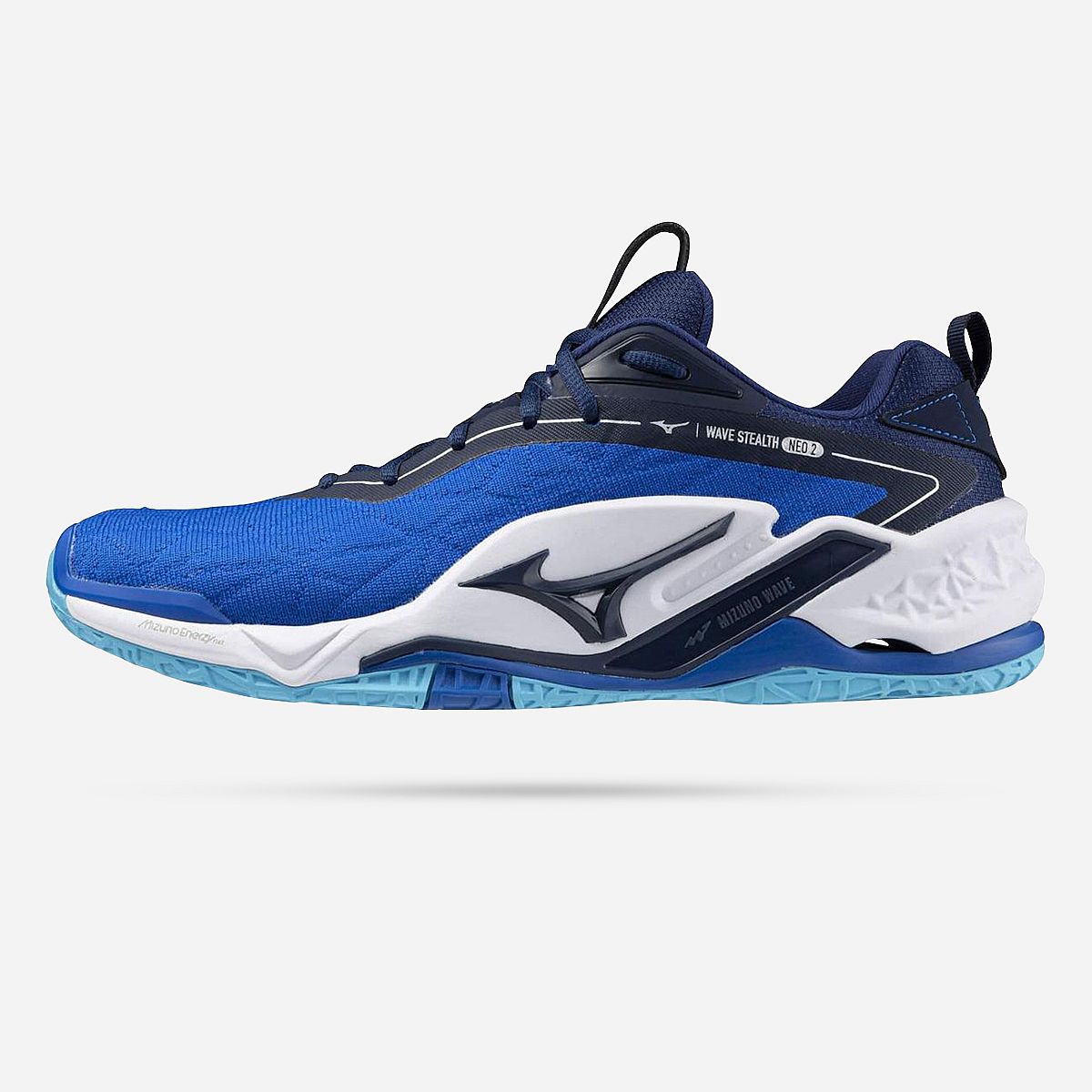 Mizuno indoorschoenen online
