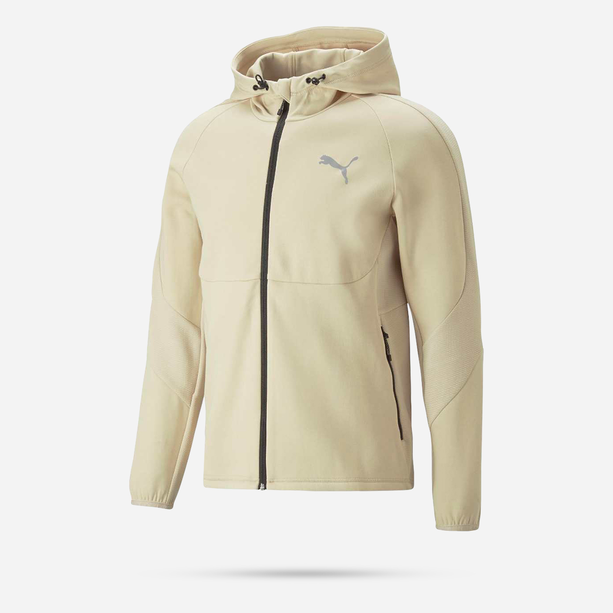 AN296609 Evostripe Full-Zip Hoodie