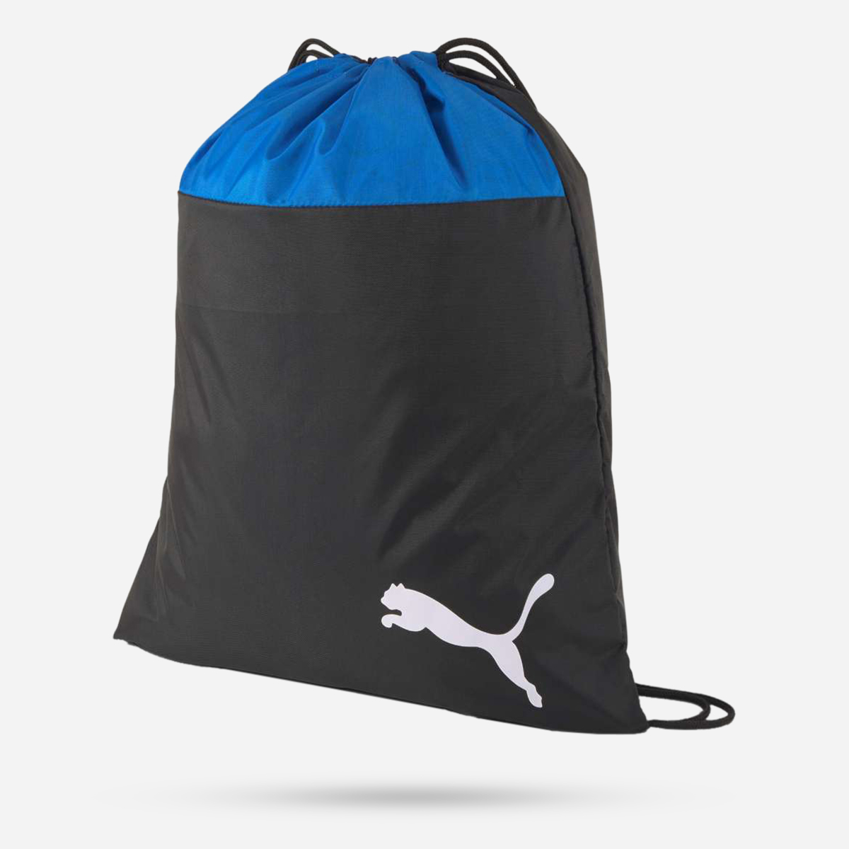 AN273497 Teamgoal 23 Gym Sack