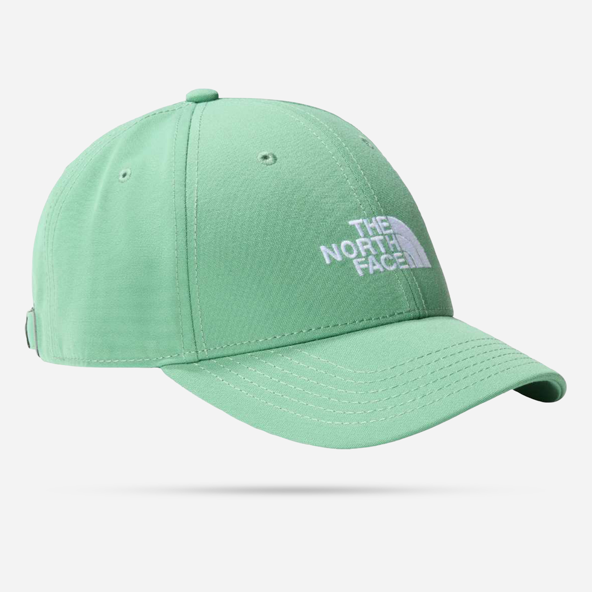 The North Face Gerecyclede 66 Classic pet