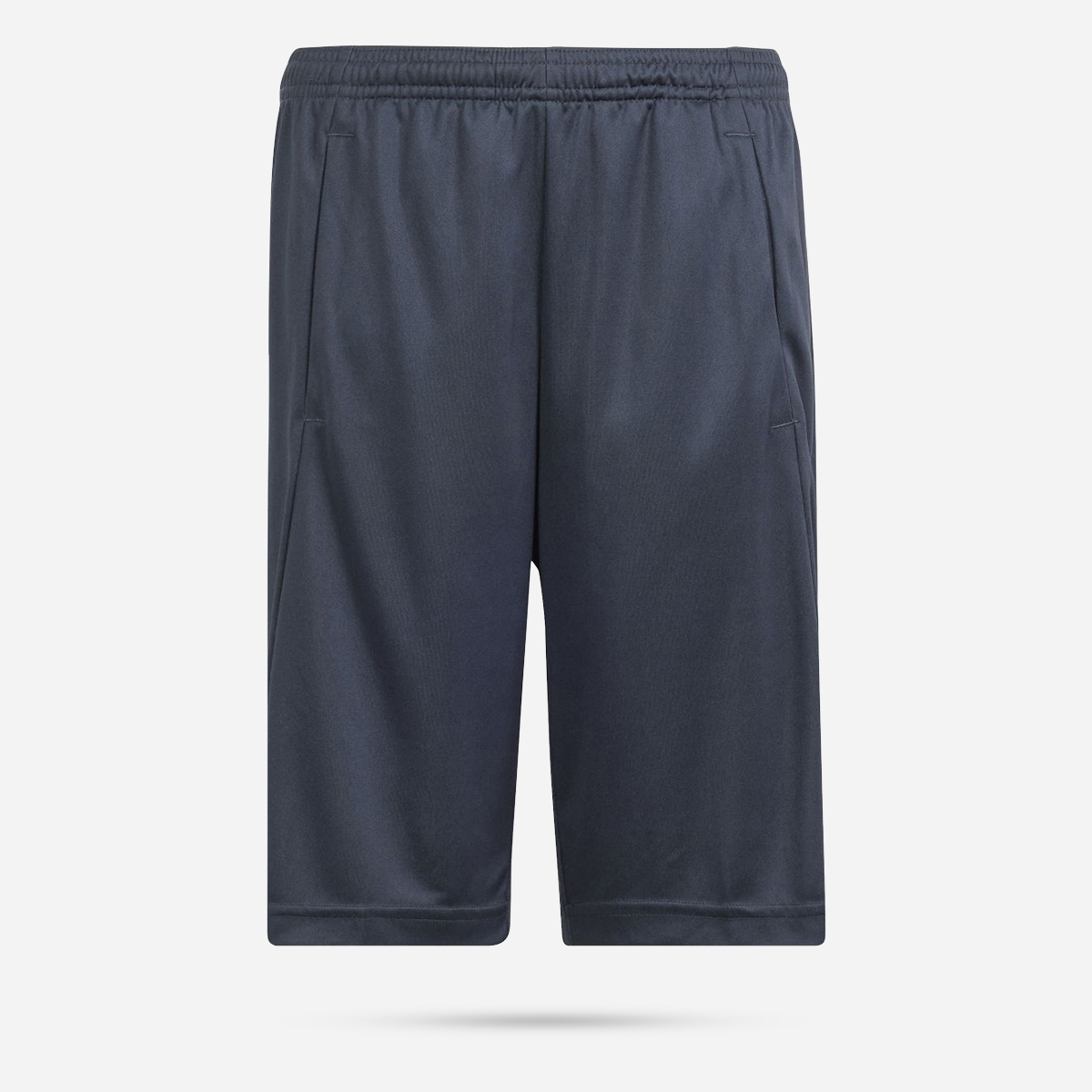 AN308627 Logo Regular-Fit Short